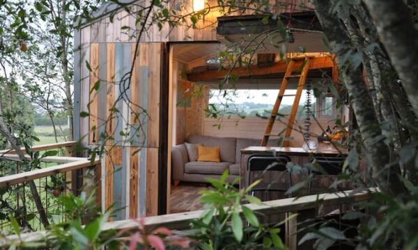 tree house with a big window, unique accommodation display
