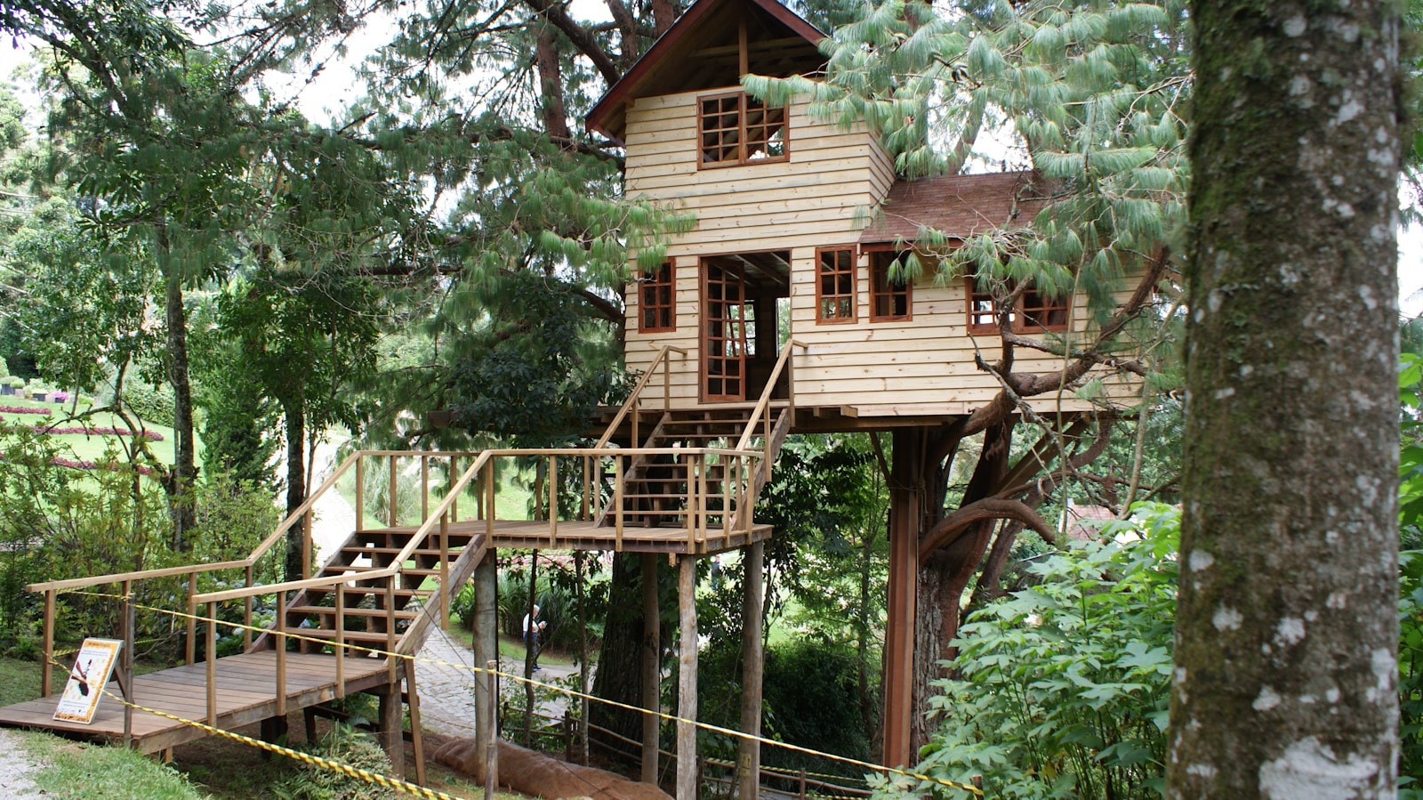 A wooden treehouse stands amidst green trees.
