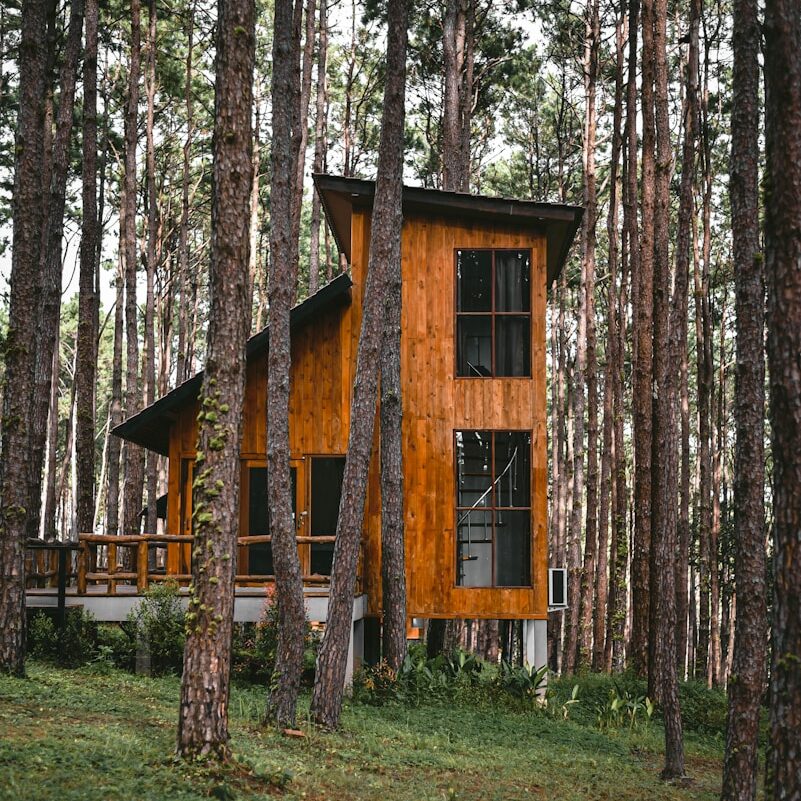 brown wooden house in forest during daytime